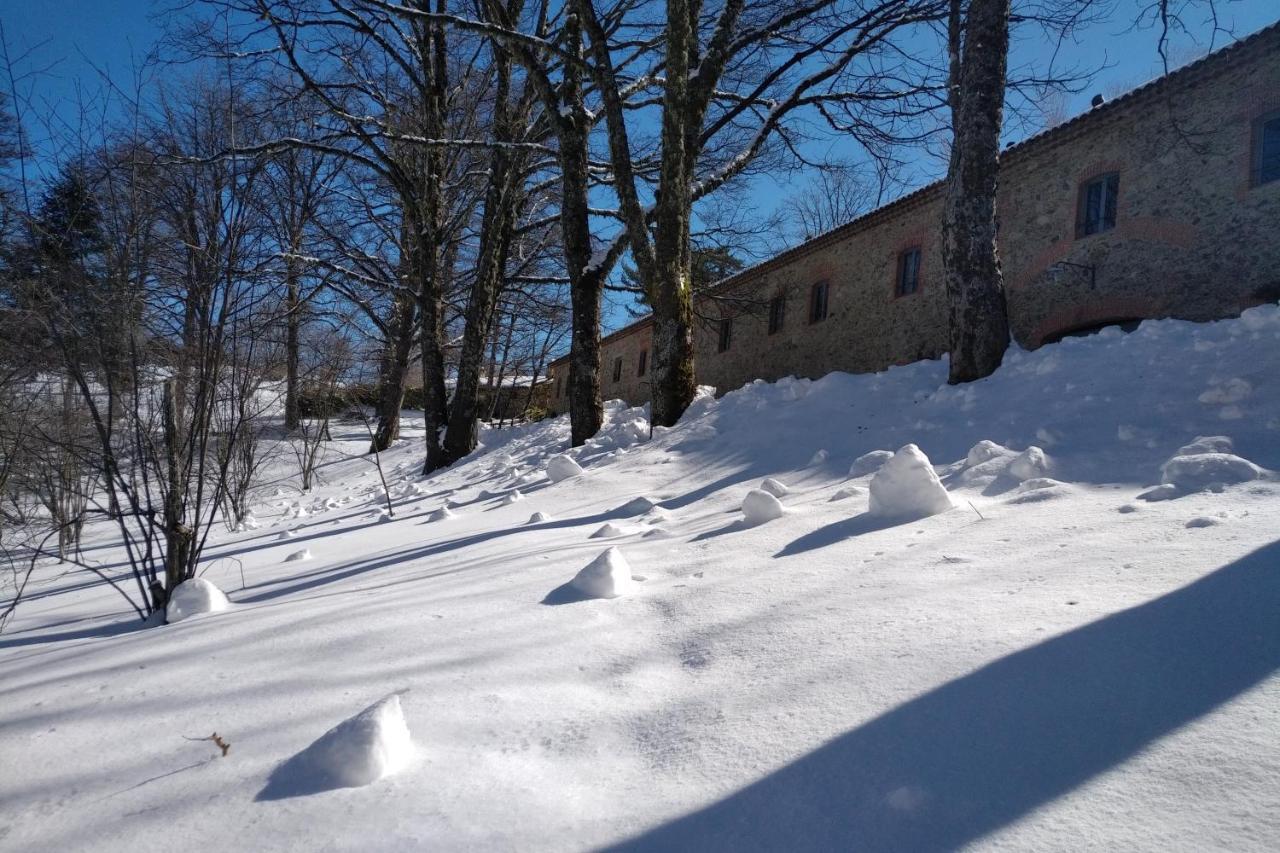 Отель Torre Camigliati Dimora Storica Камильятелло-Силано Экстерьер фото